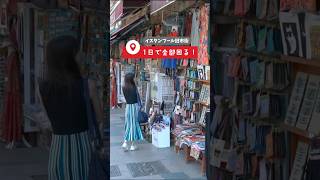 【トルコ旅行に必見】イスタンブールを1日で完全攻略！おすすめモデルコース！ #トルコ #イスタンブール #vlog