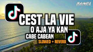 Download lagu Dj Cest La Vie x O Aja Ya Kan x Cabe Cabean (Slowed   Reverb) Viral Tiktok Full Song Maman Fvndy mp3
