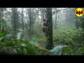 A Creature Was Spotted Climbing A Tree And It S Not Human