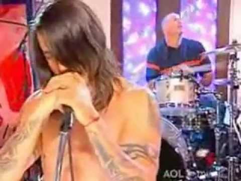 Red Hot Chili Peppers desecration smile live acustic