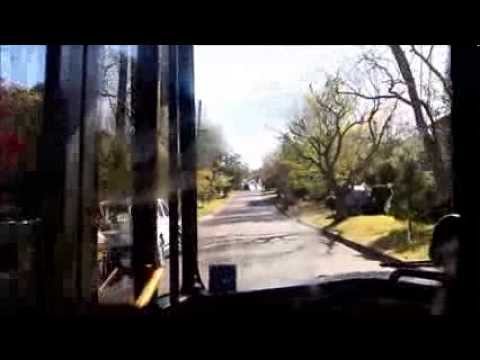 Transdev NSW (Mount Ku-ring-gai) Scania L94UB / Custom Coaches CB60, m/o 1933 / 97