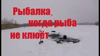 Что делать если на зимней рыбалке не клюет