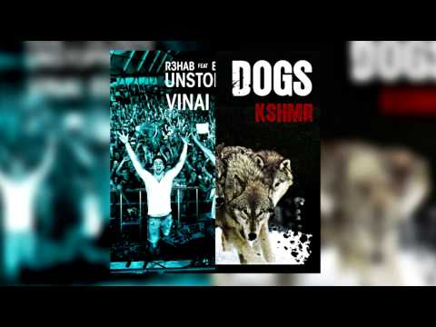 R3HAB Ft. Eva Simons & Vinai Vs. KSHMR Ft. Luciana - Unstoppable Dogs (Heyz3r Mashup)