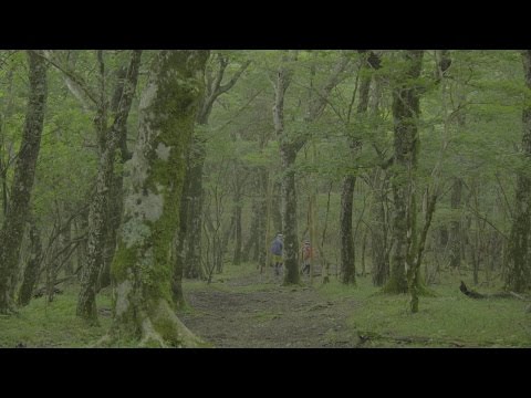 三国山・パノラマ台ハイキングコース