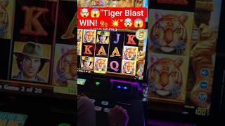 BIG WIN on Tiger Game 🐅🔥 | Unexpected Bonus Hit!🤯😱🎰🥂 #youtubeshorts #shortsfeed #slot