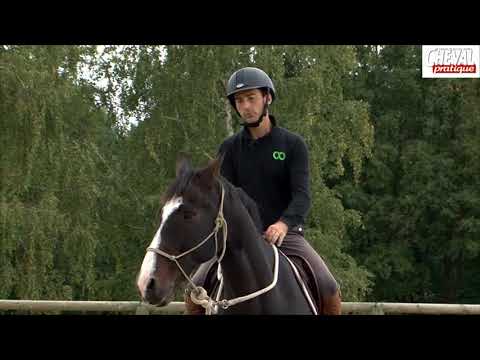 J'éduque mon cheval N°16: l'incurvation