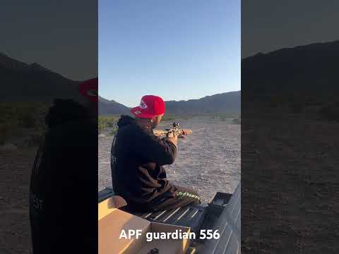 Range day Alex Pro AR15
