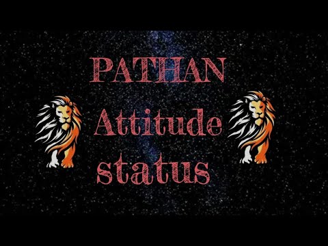 Pathan attitude status || Pathan status 😎 || Pathan attitude Royal status || new Pathan status 😎👑😎||