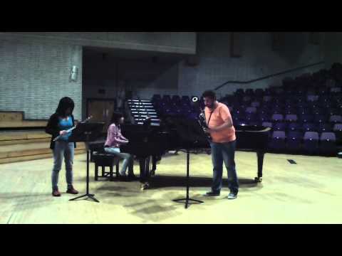 J.B Breval : Symphonie Concertante in F major for Flute,Bassoon and Orchestra (3d mov)