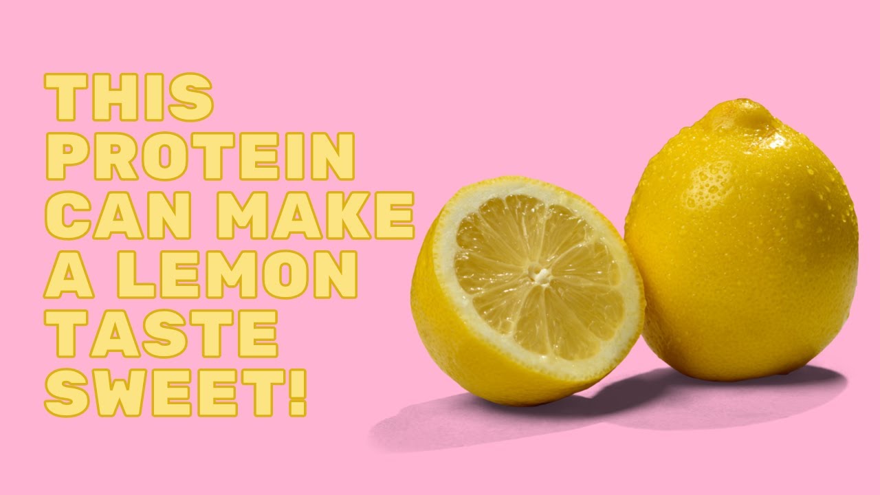 This Protein Can Make a Lemon Taste Sweet! FOOD SCIENCE!