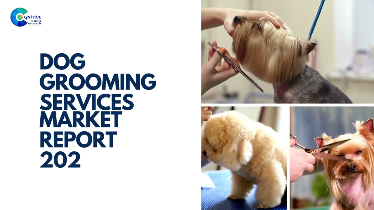 Dog Grooming Services  Market Insights