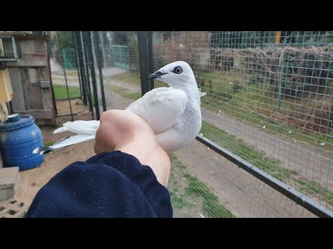 Kilka świeżych w górę. Spokój w tygodniu 😁