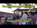 The Adventures of Jet Frichot: Monkey Forest in Bali