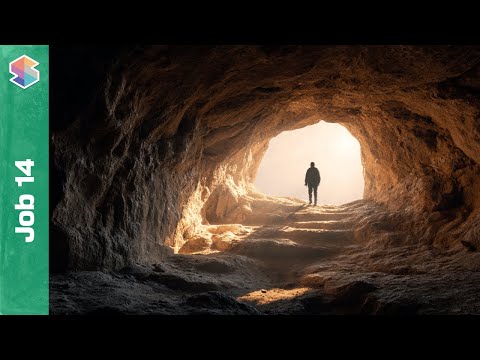 Wenn jemand stirbt, wird er wieder leben? // Hiob 14 erklärt