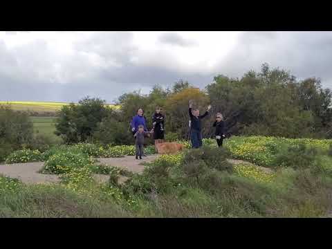 Rare sighting in Midwest town of Yananooka Western Australia,  you will find the Yandi Kawkaw Family