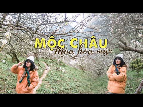 Phượt Mộc Châu