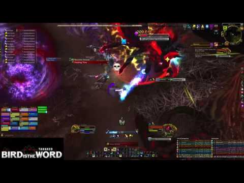 Bird is the Word Vs Elerethe Renferal Mythic Boomkin PoV