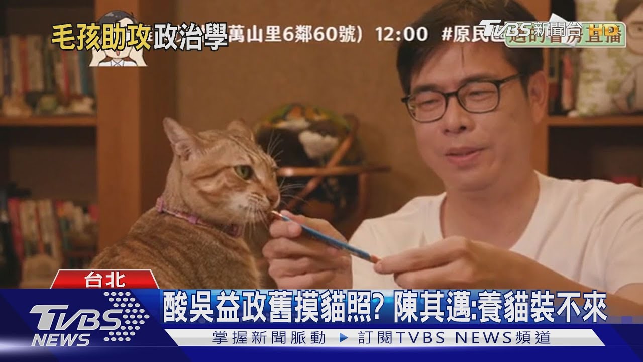 酸吳益政舊摸貓照? 陳其邁:養貓裝不來