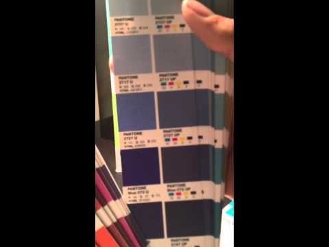 Pantone The +Plus Series Color Bridge