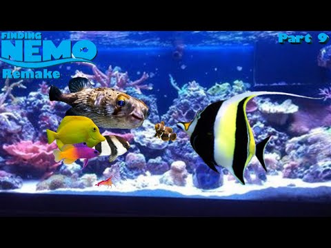 Finding Nemo: The Live Action Remake (Part 9)