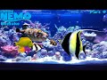Finding Nemo The Live Action Remake Part 9