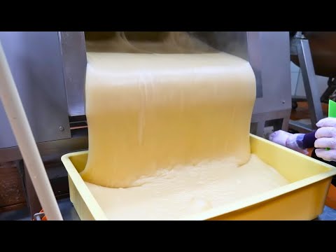 The Sticky Truth: How Glue Is Made from Start to Finish