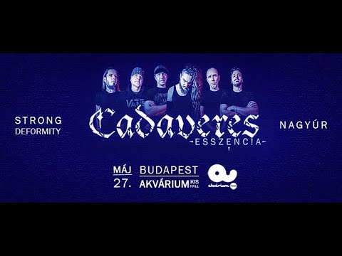 Cadaveres - Nadie - 2023 05 27 - Akvárium Club / 4K /