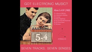 Anything Box -  Do You Hear Me Anymore  (Synth pop.1989)