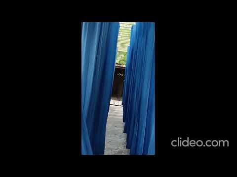 Natural Indigo Dye