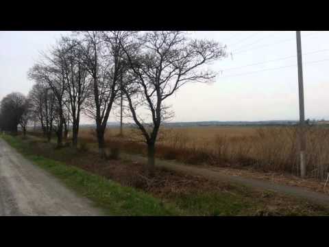 22-ND FCI WORLD CHAMPIONSHIP FOR TRACKING DOGS/тренировочные поля