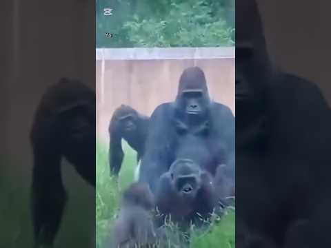 Para verme bien en la detonación 💪🏽🥵 #fitness #gymrat #cuerpofitnes #detonando #motivacion #fit