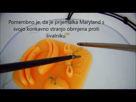 Laparoskopsko šivanje