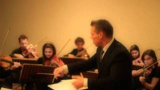 Robert Fontane - Metropolitan Kammerorchester Wien