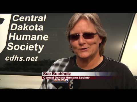 KXMB:  Very Smart Moose Selects Very Good Hangout