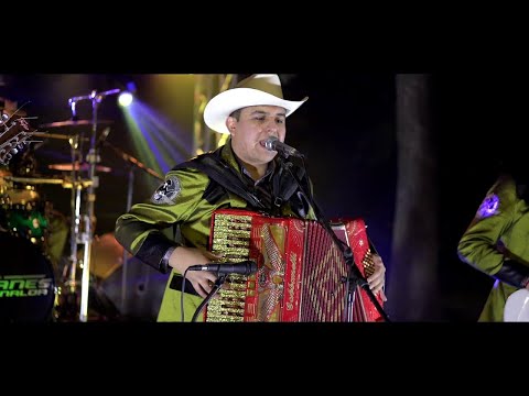 Caimanes De Sinaloa "De Mil Maneras" 2020