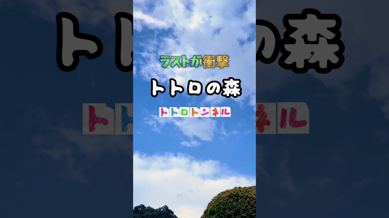 ラストが衝撃トトロのトンネル！愛媛県八幡浜市王子の森公園！ジブリの森#トトロの森 #トトロ #ジブリ