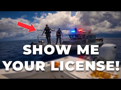 FWC FINDS US 30+ MILES OFFSHORE! *Swordfishing*