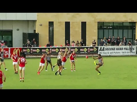 Magpies v North Adelaide Highlights - Round 3, 2017