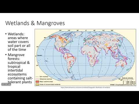 8.4 Human Impacts on Wetlands & Mangroves