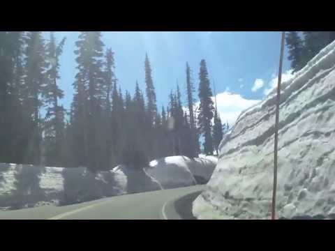 In case you couldn't make it to Paradise today...