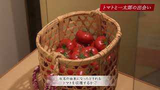 カゴメ記念館　紹介映像
