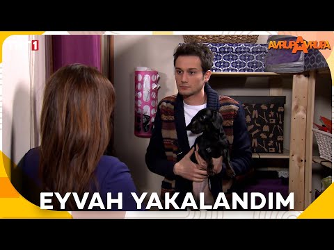 Can, annesine nasıl yakalandı? - Avrupa Avrupa 24. Bölüm @trt1