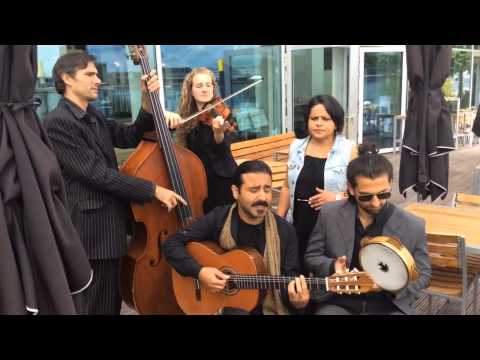 Göksel Yilmaz Ensemble @ Gezi Fest Rotterdam-Promo Teaser