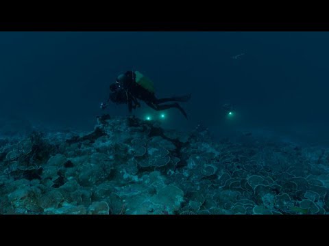 Gombessa IV Genesis - Episode 27