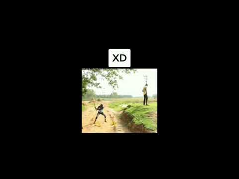 mini shitposting compilation