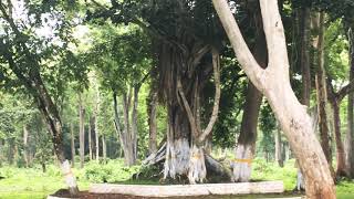 preview picture of video 'Trip to Muthanga  മുത്തങ്ങ വരെ ഒന്നു പോയിവരാം  fB Wayanad'