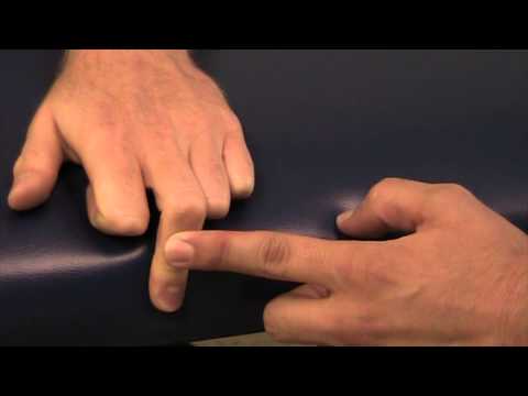 Central Slip Rupture Test