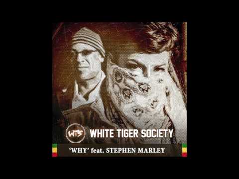Dajla & White Tiger Society - Why featuring Stephen Marley (official audio)