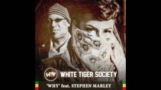 Dajla & White Tiger Society - Why featuring Stephen Marley (official audio)