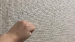 Apexのレイスが虚空に入る時のモノマネ（弱体化版）